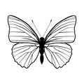 Butterfly stencil by hand drawing - vector